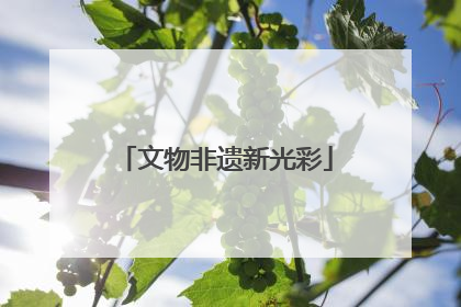 文物非遗新光彩